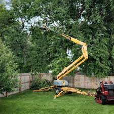 Best Sod Installation  in Tucson Estates, AZ