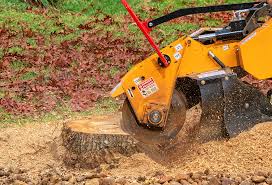 Best Tree Preservation Services  in Tucson Estates, AZ