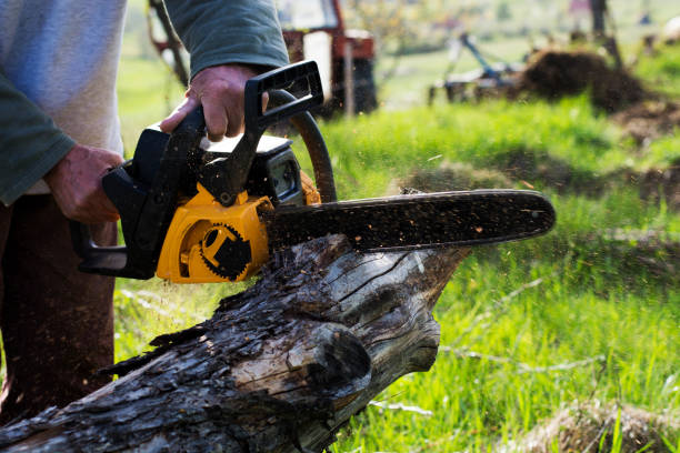Best Lawn Watering Services  in Tucson Estates, AZ